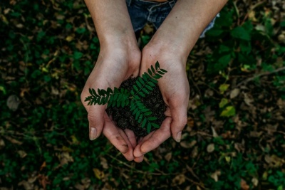 British Columbia spends $9.2 million on climate, nutrition, health and other projects